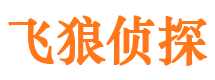 河东区外遇调查取证